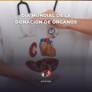🫀 Hoy celebramos el Día Mundial de la Donación de Órganos, un día para recordar la importancia de registrarse como donantes para salvar vidas. 
 #DonaciónDeÓrganos #VidasSalvadas #DíaMundialDeLaDonación